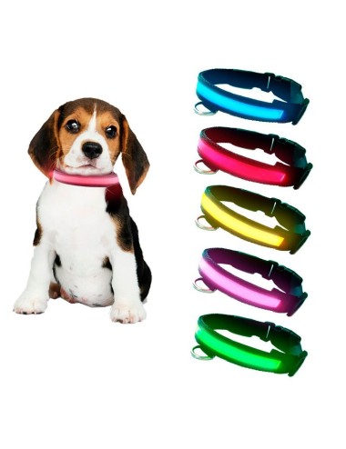 collar led perros