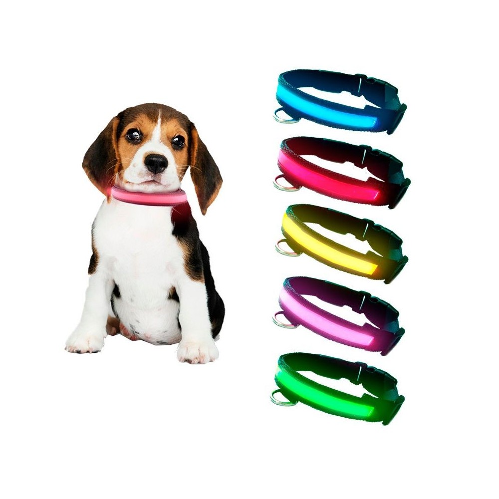 collar led perros