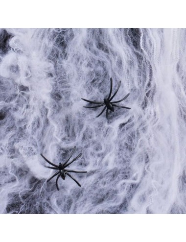 Telaraña Blanca que Brilla...