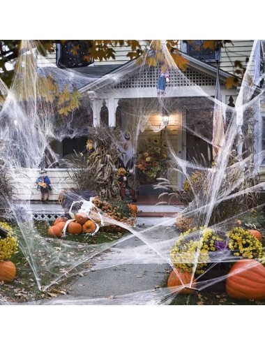 Telaraña Blanca que Brilla...