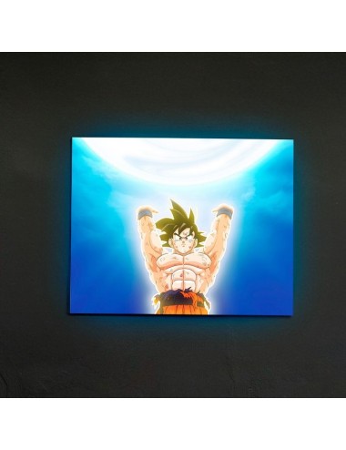 Cuadro Neón Goku con Resina...