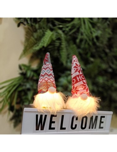 Gnomo led decorativo