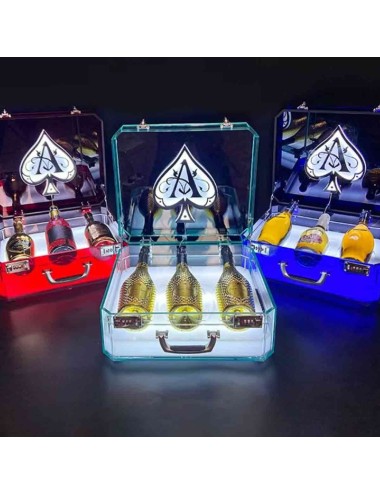 Maletín Luminoso para Botellas