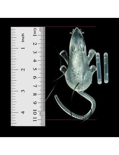 Colgantes Luminosos Halloween